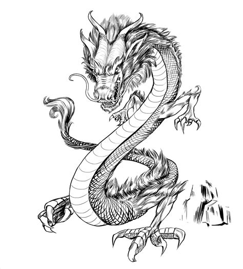 How To Draw A Chinese Dragon Face at Jasmine Fiorini blog