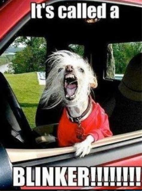Image result for Aggressive Driving Meme