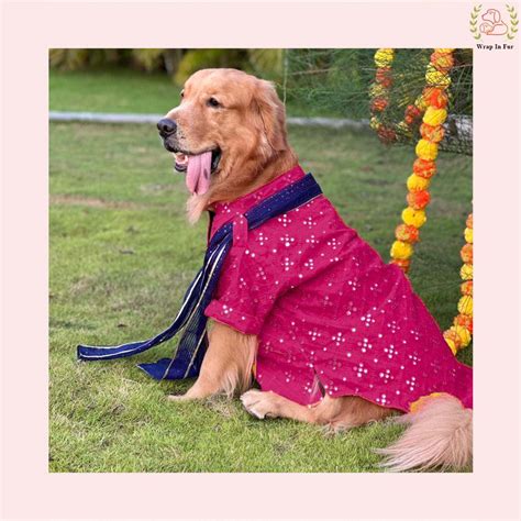 Order Pink Dog kurta with Dupatta | Shop Pink Dog Sherwani – Wrapinfur