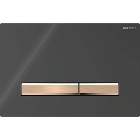 Geberit Sigma50 actuator plate for dual flush, metal colour red gold ...