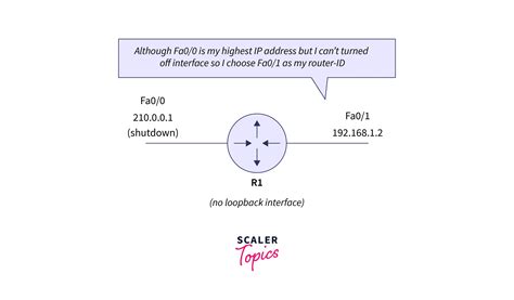 Image result for Ospf Header Format Example Step by Step