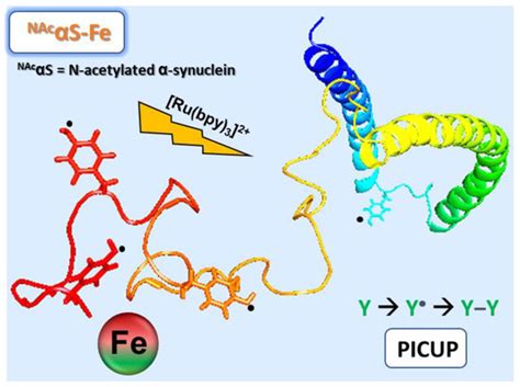 Life | Topical Collection : Function, Regulation, and Dysfunction of ...
