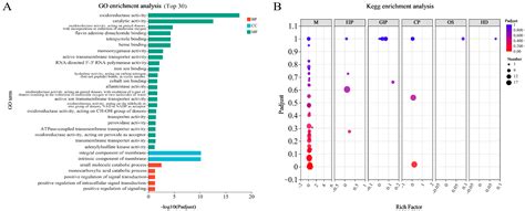 Integrative Transcriptome and Metabolome Analysis Reveals Candidate ...