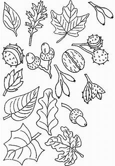 malvorlagen herbst senioren herbst malvorlagen kostenlose herbstliche bildervorlagen malvorlagen herbst senioren herbst malvorlagen kostenlose herbstliche bildervorlagen