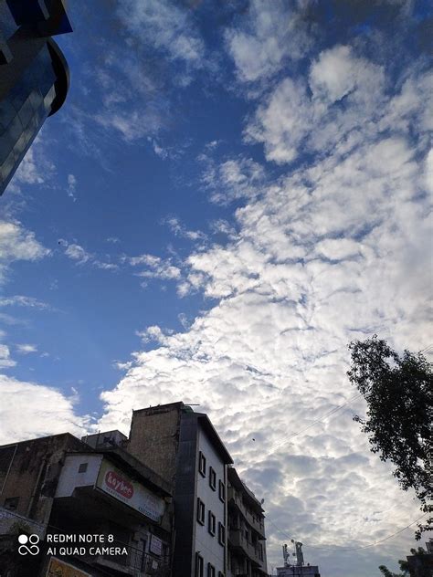 Redmi Note 8 Teste Camera 的图像结果