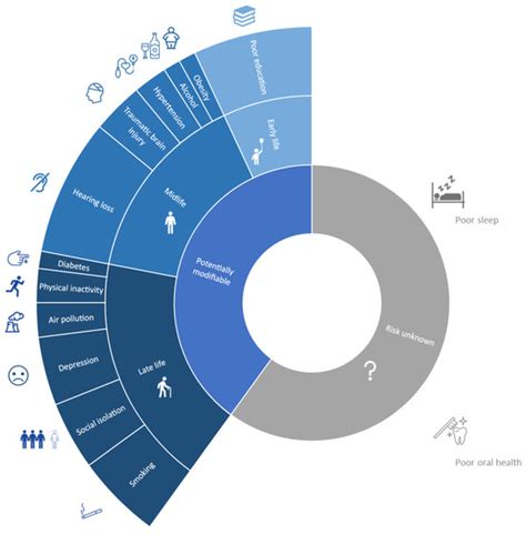 Brain Health and Cognition in Older Adults: Roadmap and Milestones ...