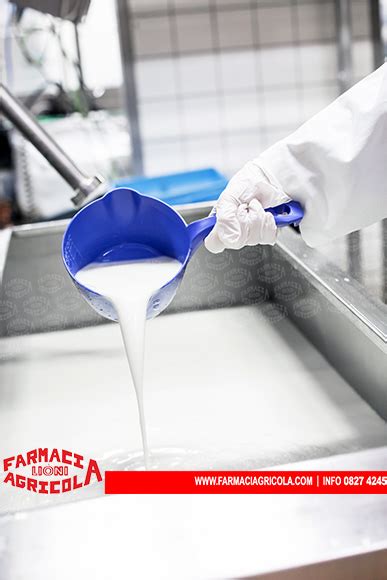 Mestolo caseario per latte 1 lt Top Quality al miglior  