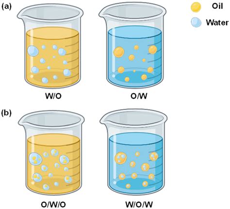 Image result for Emulsion Types