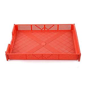 Kuber Industries Plastic Stationary Office Tray, File Tray, Document ...