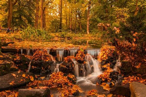 Autumnal Waterfall Tutorial 的图像结果
