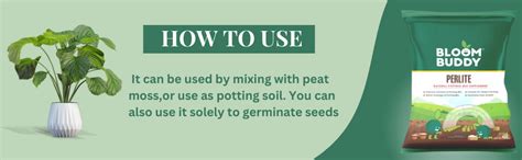 Bloom Buddy Perlite (450 Grams) for Hydroponics & Horticulture Terrace ...