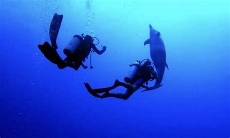 The Six Passengers (Avatoru) - 2022 What to Know Before You Go (with ...