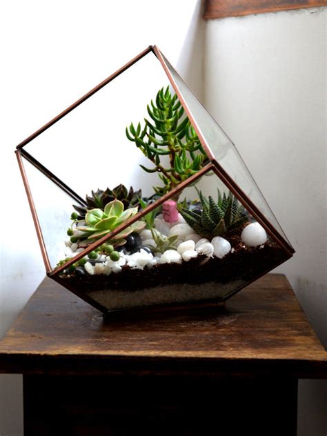 Inclined Cube Terrarium — Mudfingers