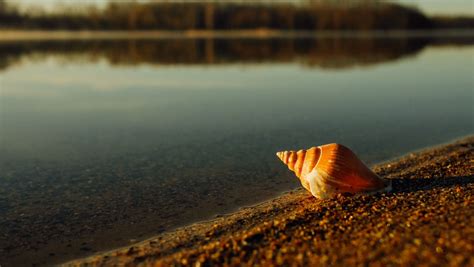 How to Use Mongo Shell 的图像结果