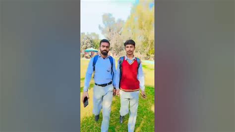 Image result for Fastapi Form Example