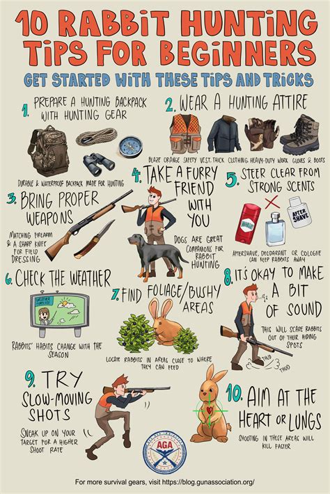 Image result for Rabbit Hunting without Dogs