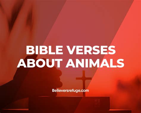 30 Bible Verses About Animals - Believers Refuge