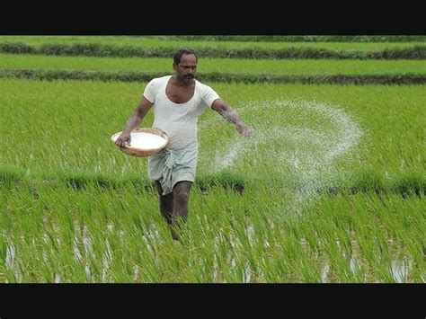 Intensive Farming 的图像结果