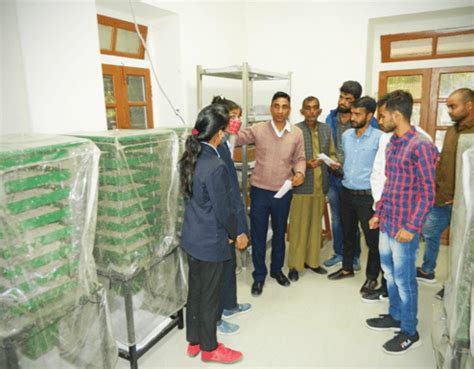 Entomology | SKN College of Agriculture, Jobner