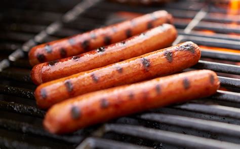 Image result for Processing Snapping Turtle Meat