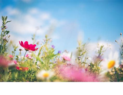 Spring Fling Weekend, 8428 Stephen Decatur Hwy, Berlin, MD 21811, 16 ...