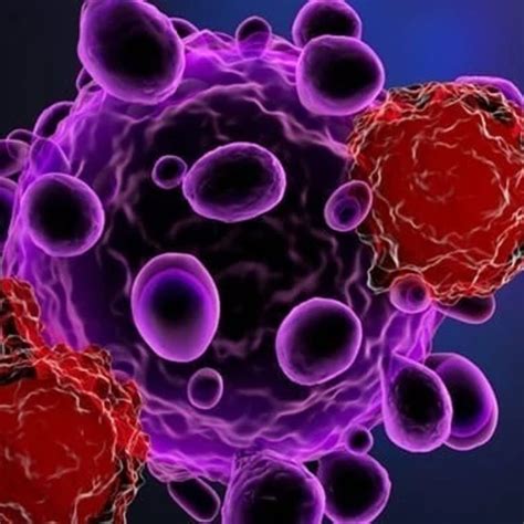 Cell Press Engineering Immune Cells for Cancer Therapy Supplement ...