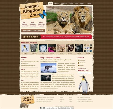 动物园网站模板图片_网页界面模板_UI界面设计_图行天下图库