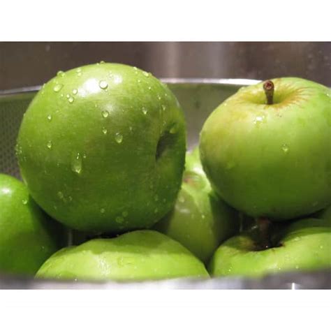 Buy Granny Smith Apple Tree Bare Root Online in India. 307666298
