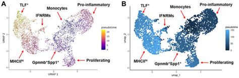 IJMS | August-2 2025 - Browse Articles