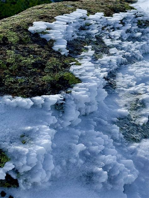 Tim Stanton: "Beauty was abound when I snowshoed up a mountain ...