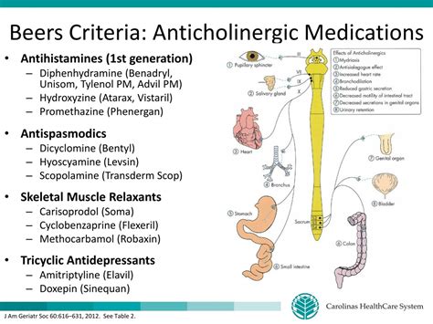 PPT - Medication Management for Older Adults PowerPoint Presentation ...