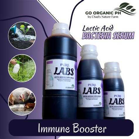 What Is Lactic Acid Bacteria Serum (Labs) at Tommy Bautista blog