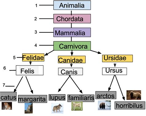 Mind map — lesson. Science State Board, Class 7.