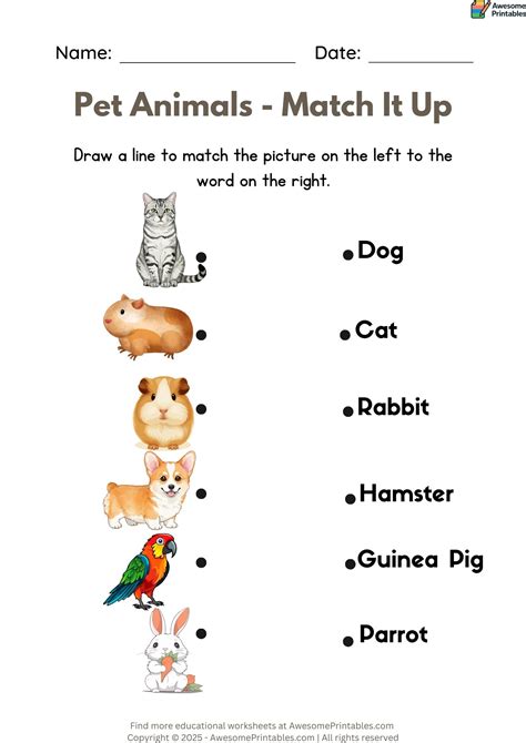 Matching Words to Pictures Worksheet [Pet Animals]