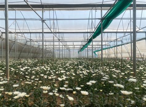 Dr YS Parmar University of Horticulture & Forestry