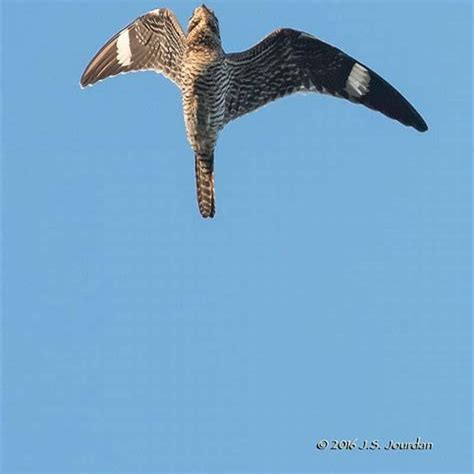 Nighthawk M2 Mobile Router Problem 的图像结果