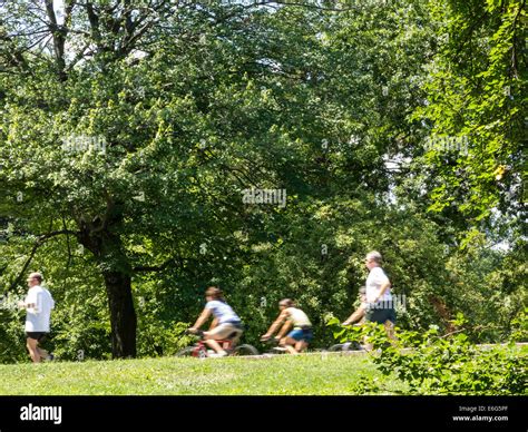 Joggers and Outdoor Activity, West Drive, Central Park, NYC Stock Photo ...