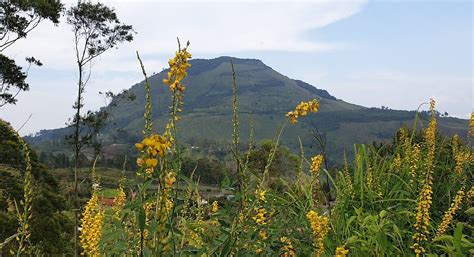 BUKIT GAJAH BOBOK (2026) All You Need to Know BEFORE You Go (with ...