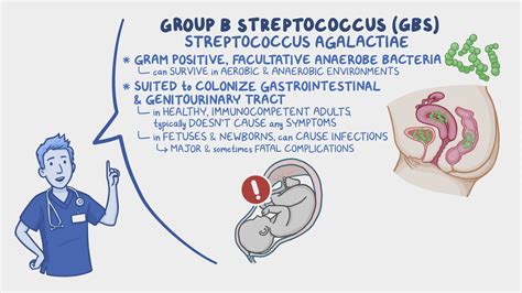 Grúpa Streptococcus B Group B Strep And Having A Baby: What Pregnant