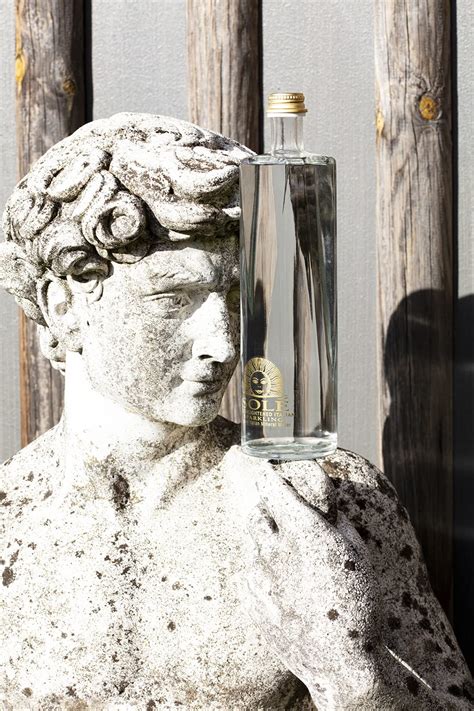 Buy Sole | Arte | Premium | Functional | Sustainable | Italian ...