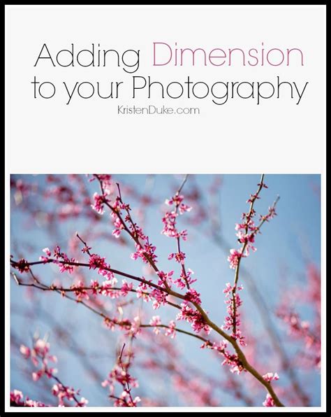 Image result for PhotoPlus X8 Tutorials Depth of Fileld