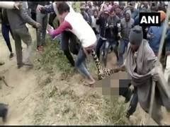 UP: Villagers kill leopard after it mauls schoolboy to death in Bijnor