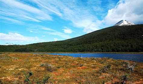 Tierra del Fuego National Park in Argentina: What to See, Activities ...
