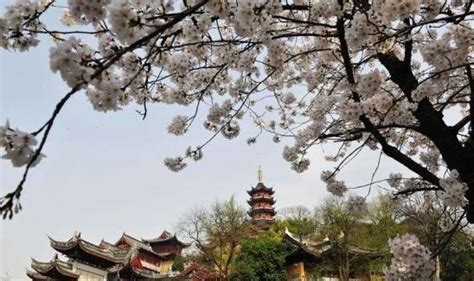 南京十大都市传说，鸡鸣寺求姻缘为什么很灵？