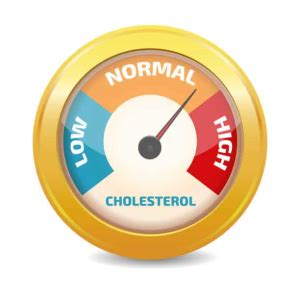 Cholesterol Levels: जानिए उम्र के अनुसार कोलेस्ट्रॉल स्तर! - हैलो स्वास्थ्य