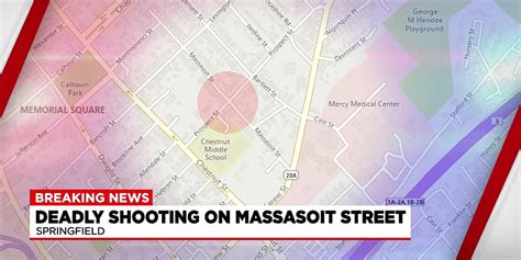 Image result for Springfield Waypoint Shooting