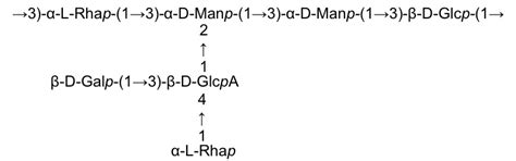 K antigen structure