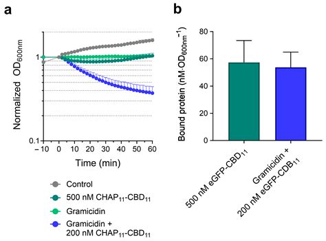 Cellular and Enzymatic Determinants Impacting the Exolytic Action of an ...