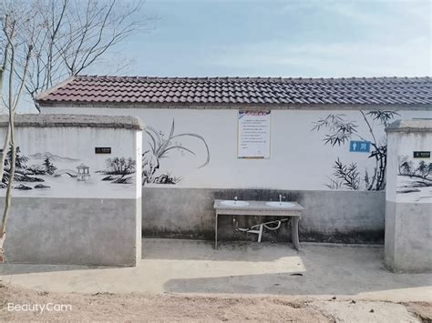 苏巷镇：建设美丽公厕 让农村环境更美好 _滁州市财政局
