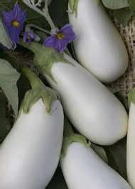 Tips to boil Potatoes: How to boil potatoes perfectly